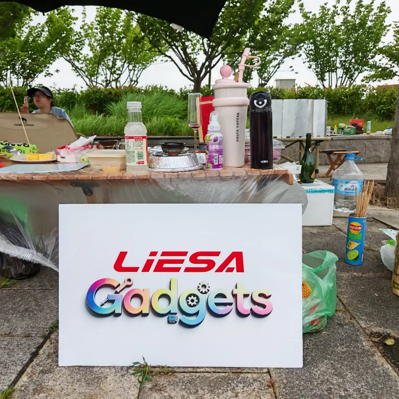 LIESA गॅझेट्सने ग्लोबल क्लीनिंग अप्लायन्स बिझनेससाठी टीम एकत्र करण्यासाठी आउटडोअर कॅम्पिंग टीम बिल्डिंग ठेवली आहे